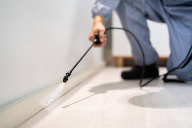 Licensed Termite Control service in Oak Park, MI - Nex Pest Control