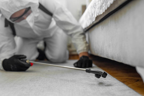 Professional Termite Control technician working in Oak Park, MI