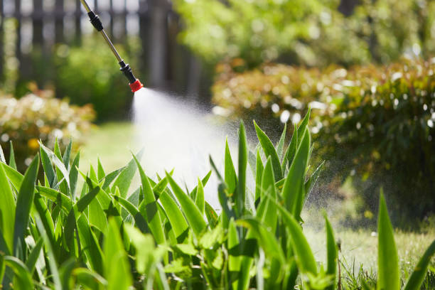 24/7 Emergency Termite Control experts in Oak Park, MI