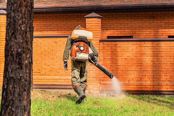 Top rated local Termite Control specialists in Oak Park, MI